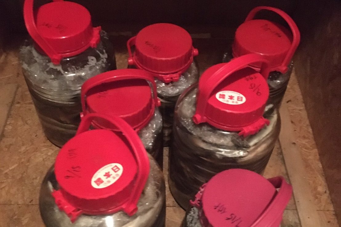 館山産の魚醤作り