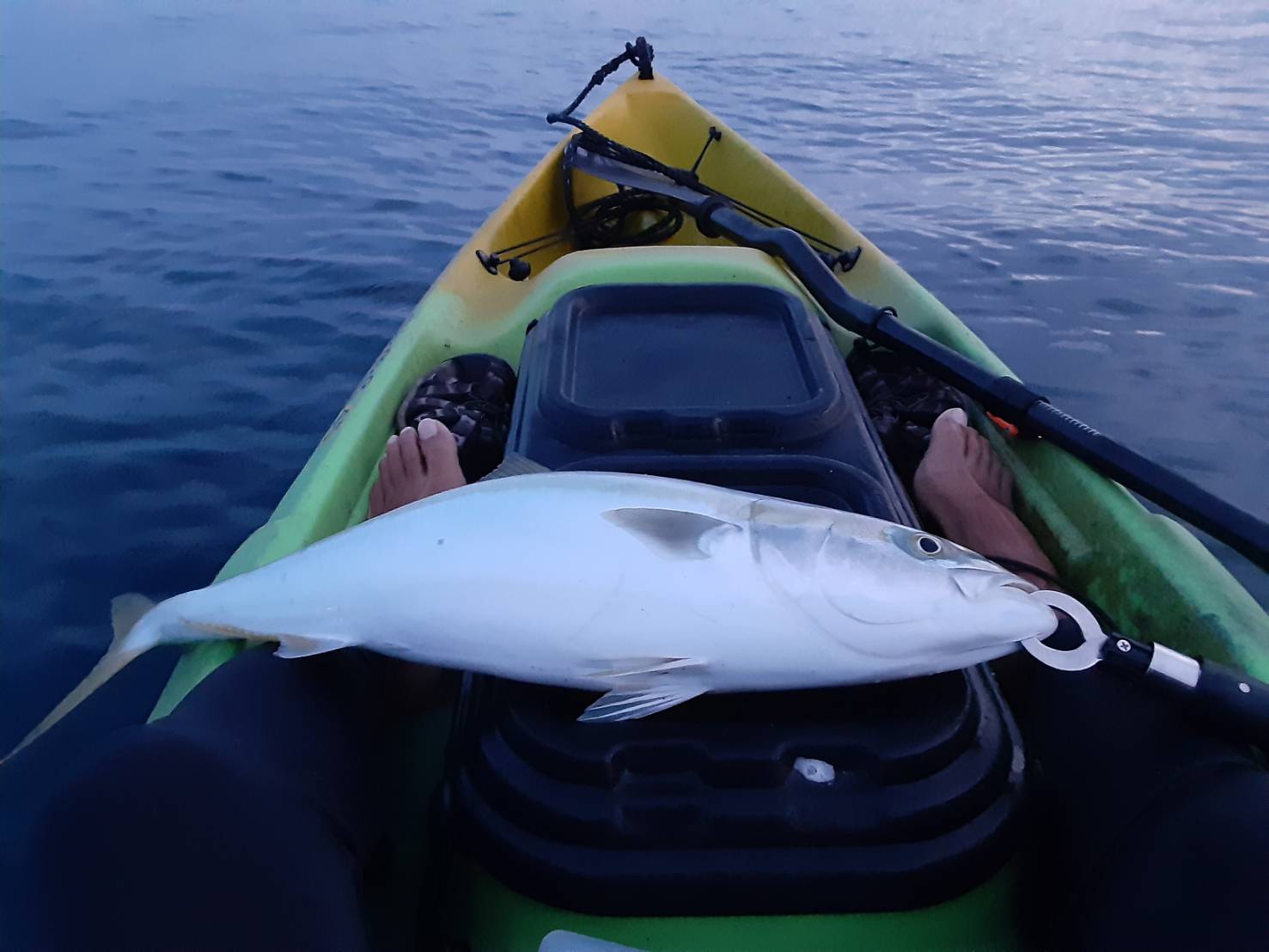 カヤックフィッシング天国の館山