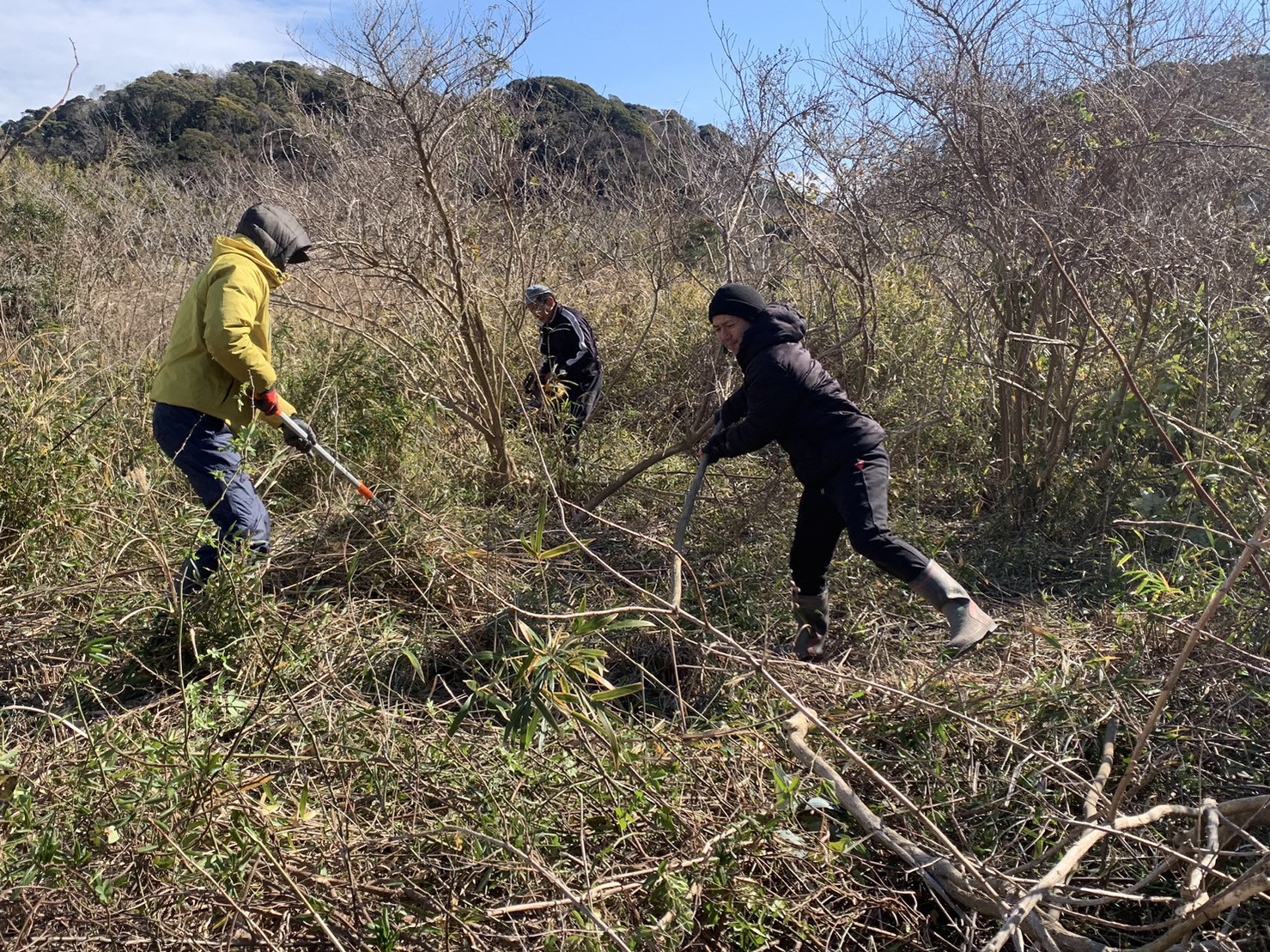 波佐間の放棄地の刈払い整備を、進めています