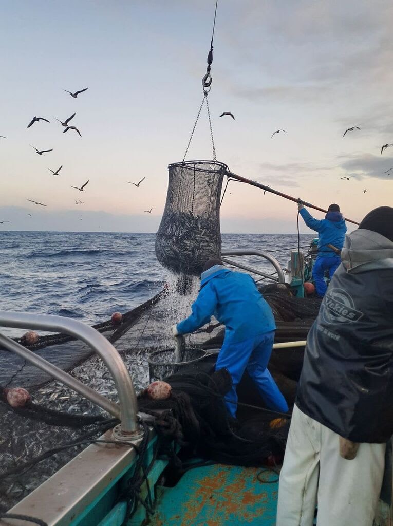 美しい館山の海と持続可能な漁業のために